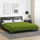 Vidaxl vol jaar dekbed groen 220 x 200 cm microfiber