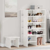 Vidaxl schoenenkast met plank met opslag 2 pcs wit bewerkt hout