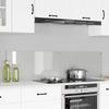 Vidaxl keuken achterwand 2 pcs doorzichtig 80 x 40 cm gehard glas
