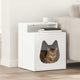 Vidaxl kattenhuis wit 42,5 x 40 x 53,5 cm bewerkt hout