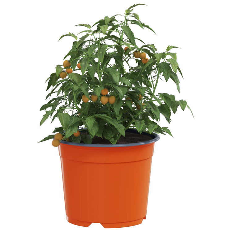 Vidaxl ronde bloempot 50 st terracotta ø 10 x 8 cm kunststof