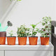 Vidaxl ronde bloempot 200 st terracotta ø 10 x 8 cm kunststof