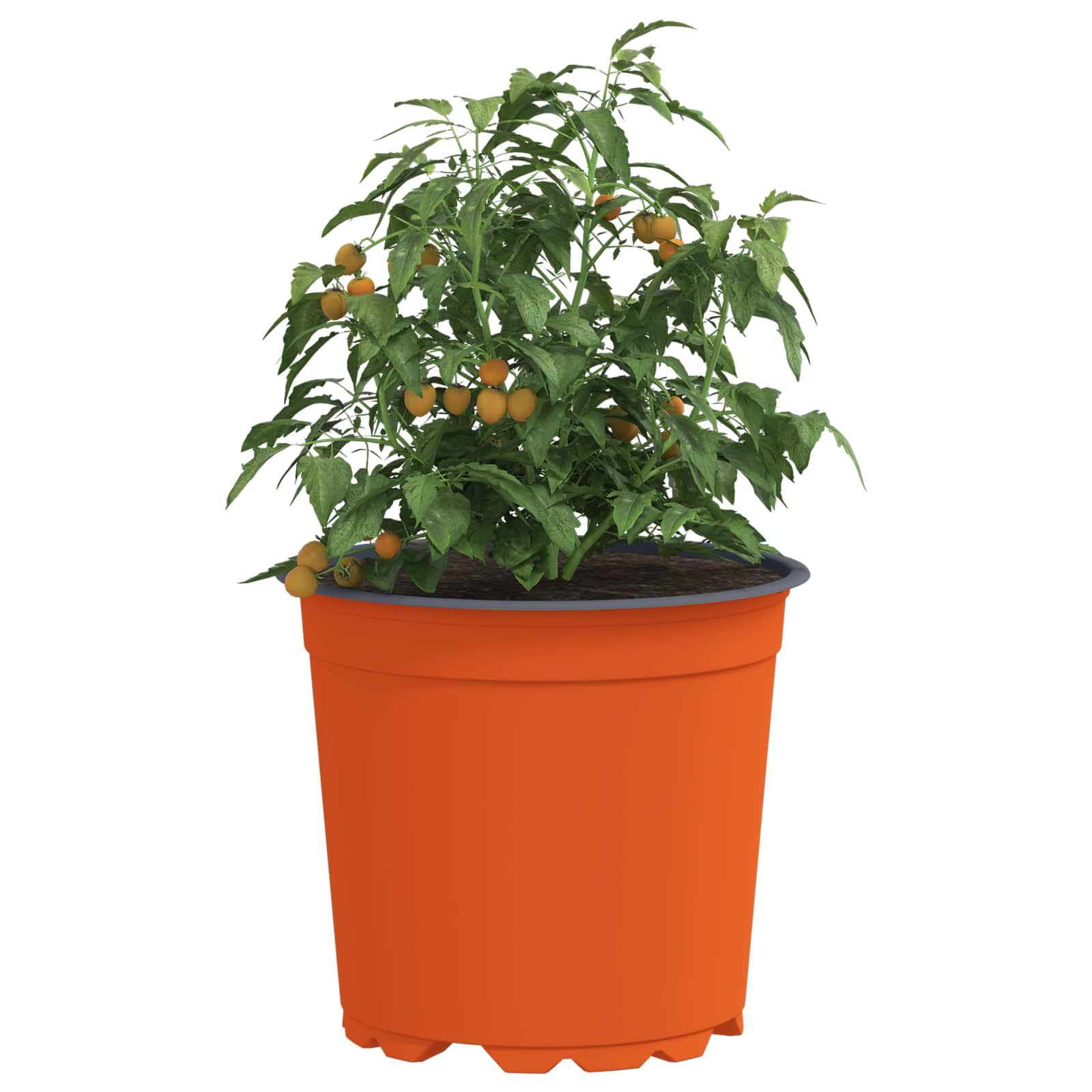 Vidaxl bloempot 50 pcs terracotta ø 15 x 13 cm kunststof
