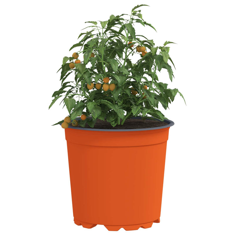 Vidaxl ronde bloempot 50 st terracotta ø 15 x 13 cm kunststof