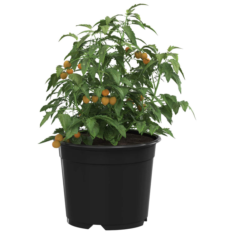 Vidaxl ronde bloempot 50 st zwart ø 10 x 8 cm kunststof