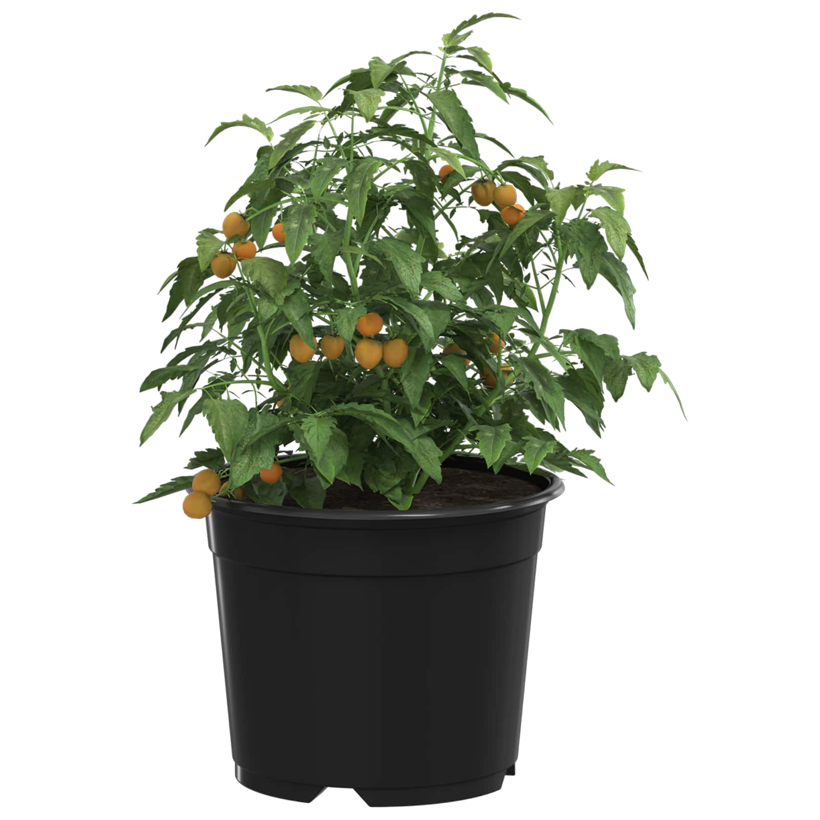 Vidaxl bloempot 100 pcs zwart ø 15 x 12.5 cm kunststof