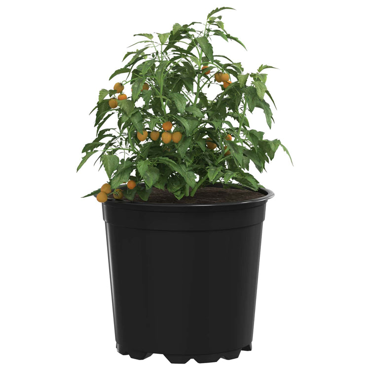 Vidaxl ronde bloempot 200 st zwart ø 15 x 13 cm kunststof