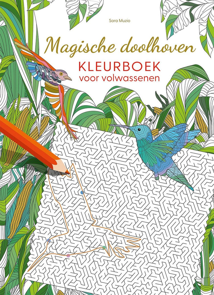 Deltas magische doolhoven kleurboek volwassenen