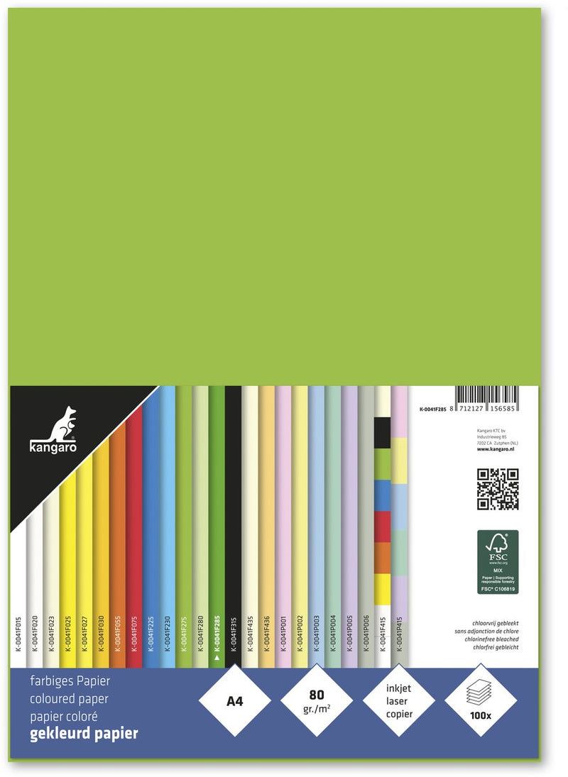 Kangaro -papier - formaat a4 - 80 grams - kleur helgroen - pak 100 vel - k-0041f285