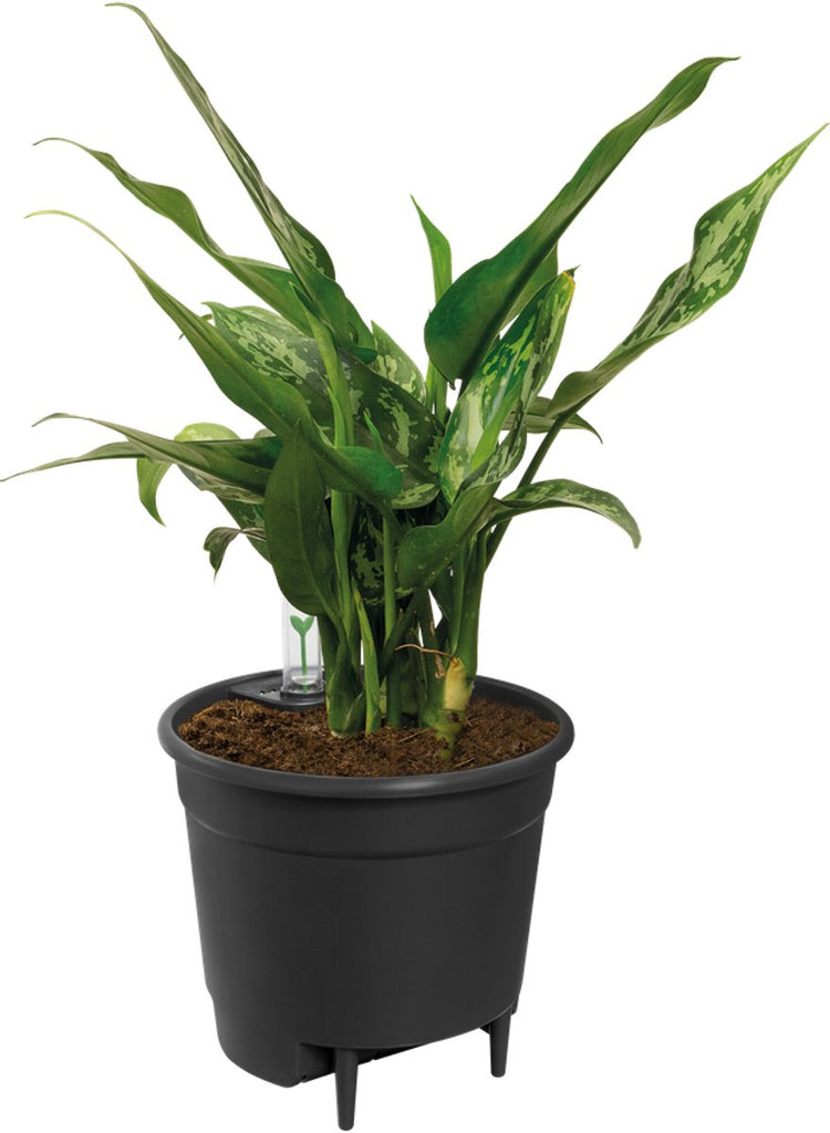 Elho self-watering insert 17 - binnenpot met watermeter - ø 17.0 x h 15.8 cm - living black