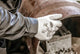 Nitras safety schnittschutzhandschuh cut5 cut protection glove cut5 gr. 7