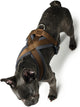 Hunter hondentuigje london comfort 48-56 cm bruin maat s m