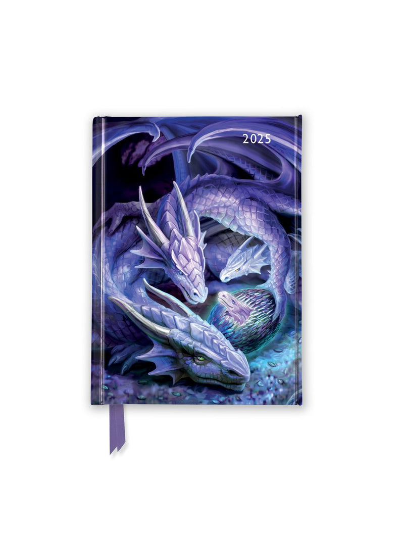 Anne stokes : welcome hatchling 2025 luxury pocket diary planner - week to view
