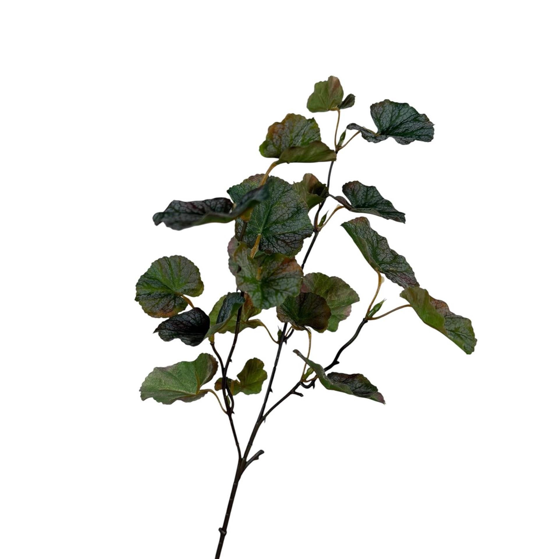 Roberts collection kunsttak garaniumblad koffie grijs 55cm