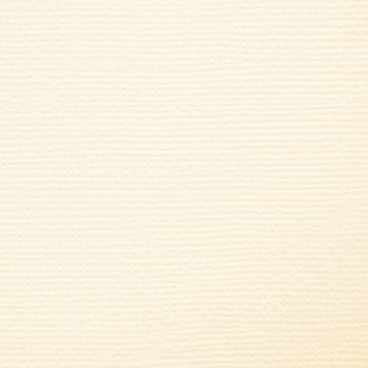 Craft perfect by tonic studios craft perfect • klassieke kaart a4 10pcs ivory white