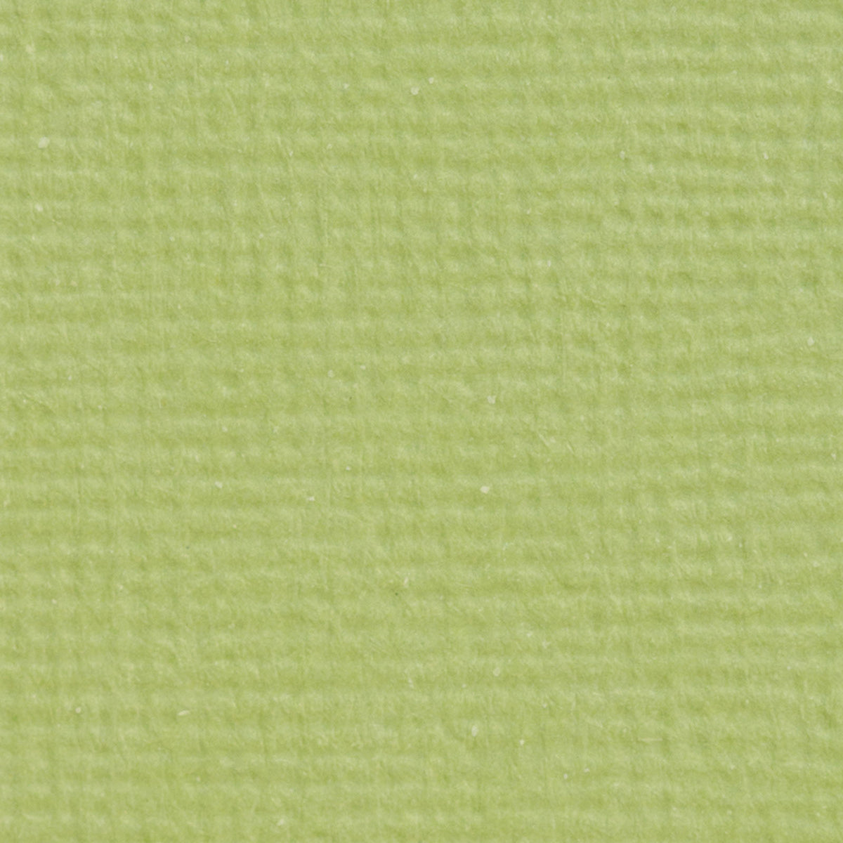 Craft perfect by tonic studios craft perfect • klassieke kaart a4 10pcs pistachio green