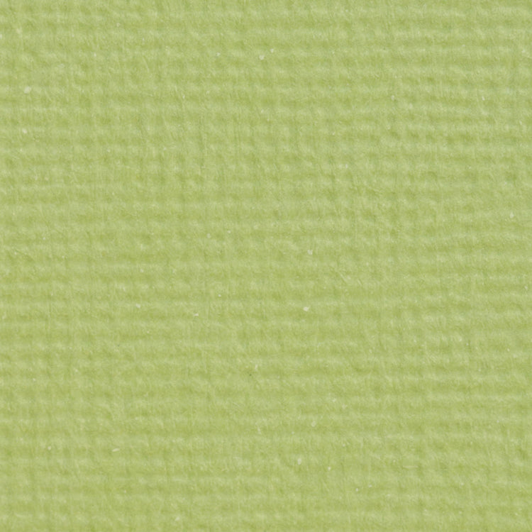 Craft perfect by tonic studios craft perfect • klassieke kaart a4 10pcs pistachio green