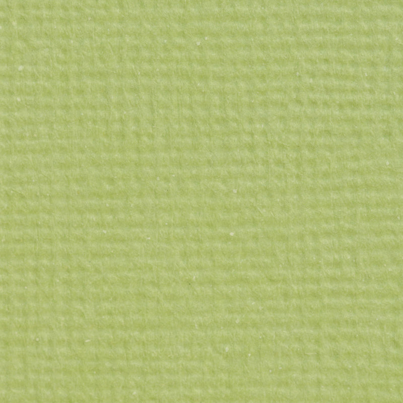Craft perfect by tonic studios craft perfect • klassieke kaart a4 10pcs pistachio green