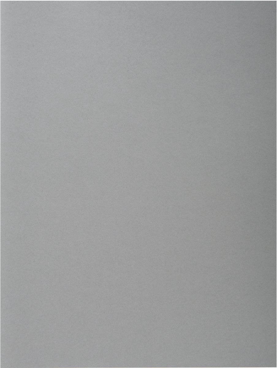 Exacompta rock''s 80 - pak van 100 inlegmappen 22x31cm voor a4 - grijs - 800009e