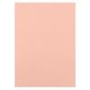 Craft perfect by tonic studios craft perfect • klassieke kaart a4 10pcs bubblegum pink