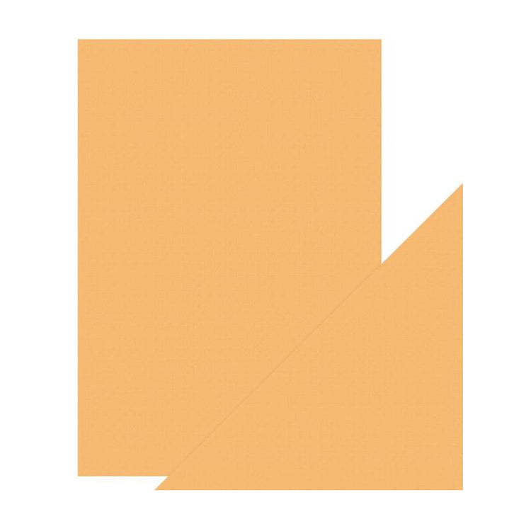 Craft perfect by tonic studios craft perfect • klassieke kaart a4 10pcs apricot orange