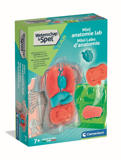 Clementoni wetenschap spel - squishy anatomie