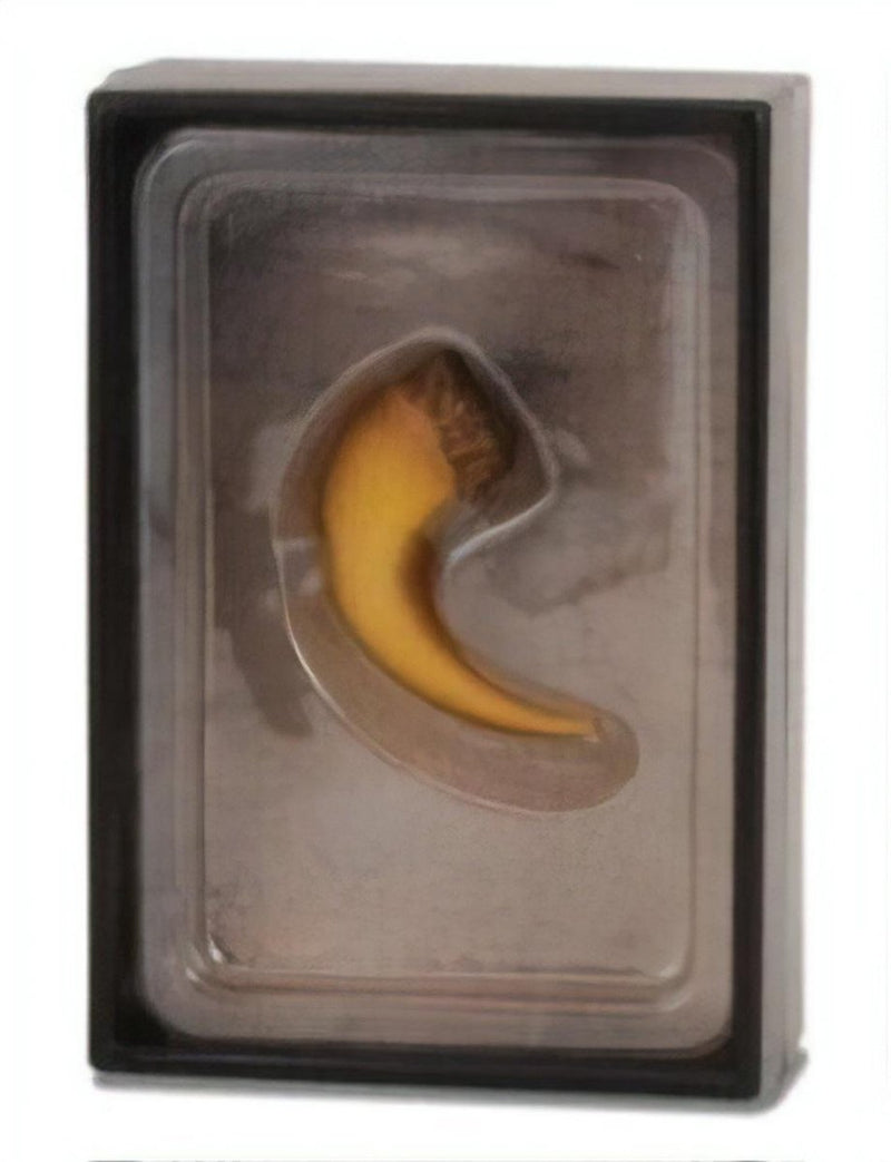 Collecta figurine gift set - baryonyx klauw