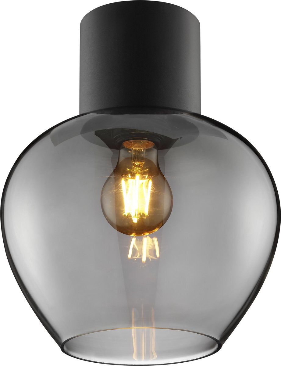 Brilliant ligari - plafondlamp - ø 23 cm - e27 max 1x20w - zwart smoke