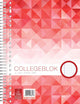 Work collegeblok a4 - ruit 5 mm - 70 grams - 23 gaats - 80 vel - 5 stuks