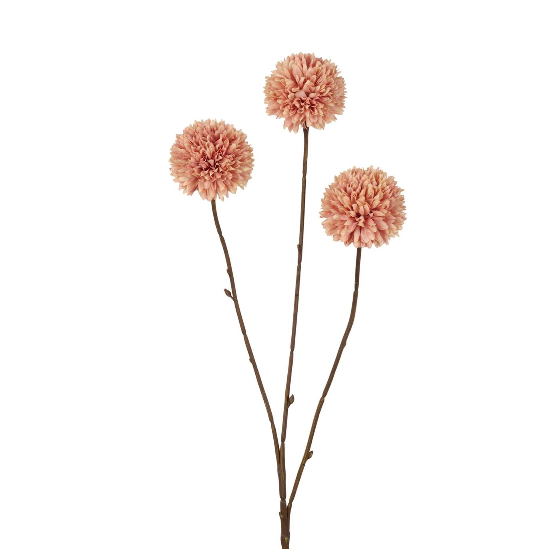 Roberts collection kunstbloem pompom 78 cm champagne