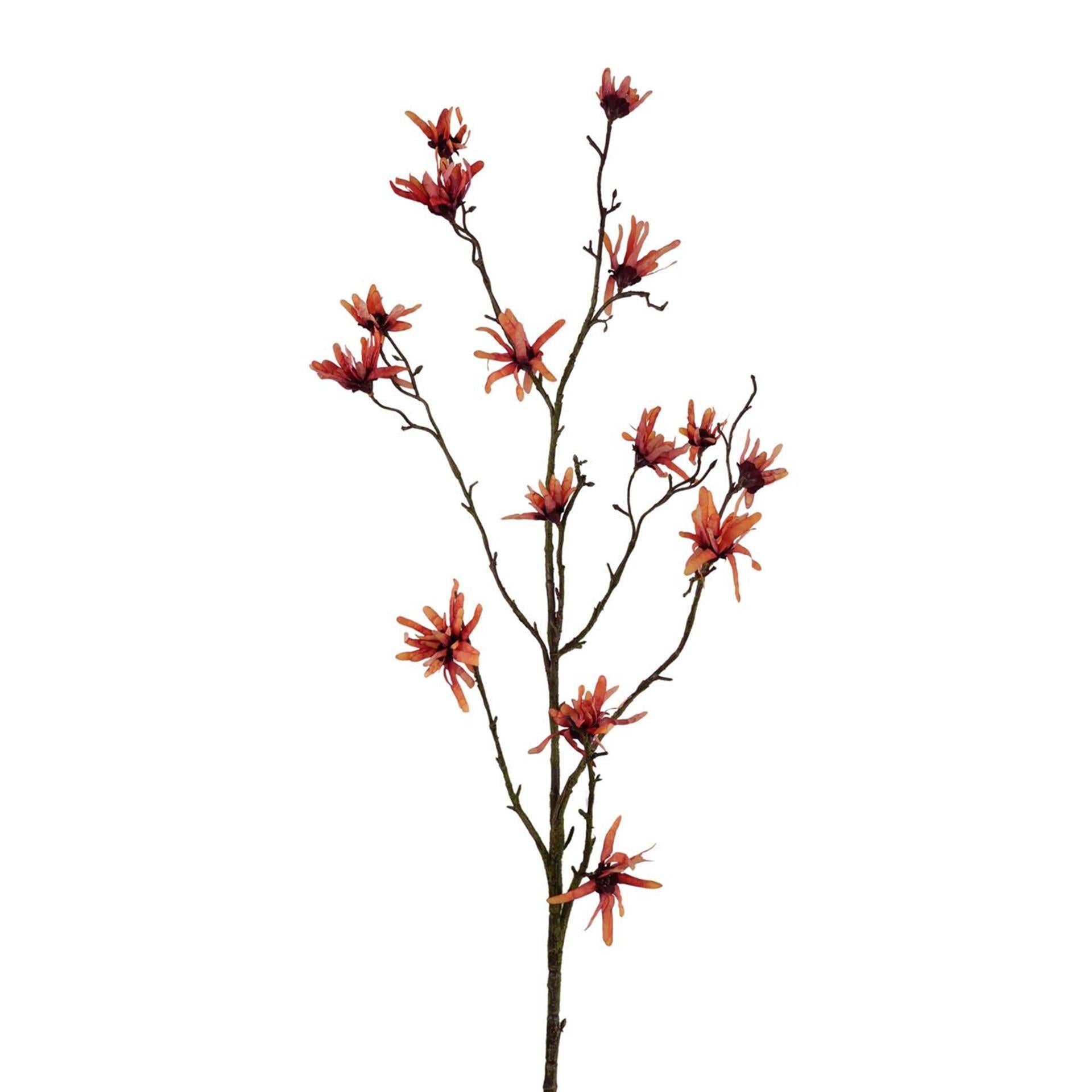 Roberts collection kunsttak hamamelis oranje 120cm