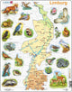 Larsen limburg met dieren – puzzel – kaarten geografie – nederland – educatieve legpuzzel voor kinderen – 60 stukjes – gemaakt in noorwegen – extra dikke 2,5 mm stukjes – tray met vaste rand