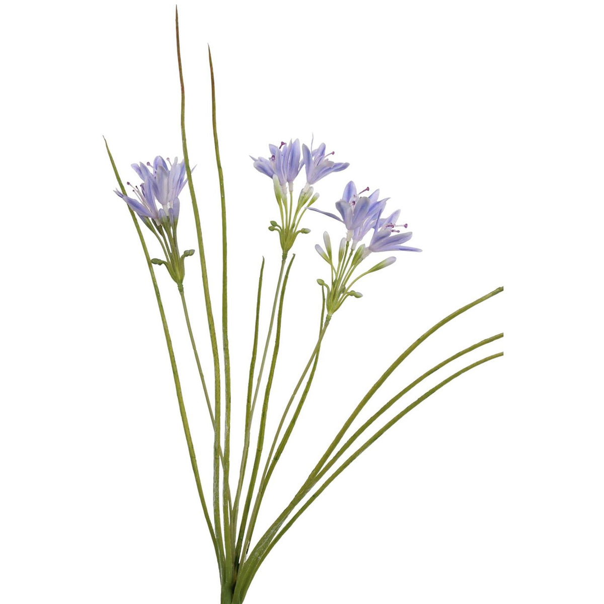 Roberts collection kunstgras met bloemen blauw 75cm