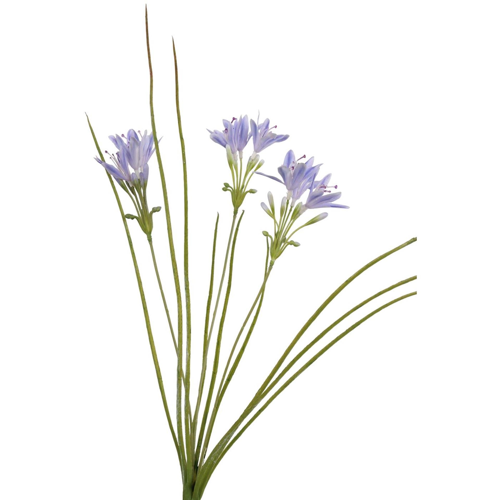 Roberts collection kunstgras met bloemen blauw 75cm