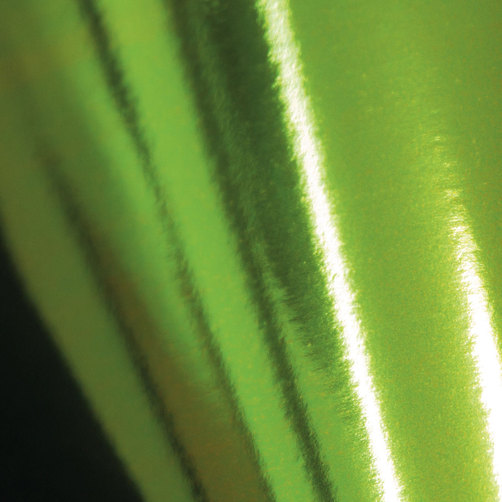 Tonic studios • mirror card gloss a4 x5 emerald green