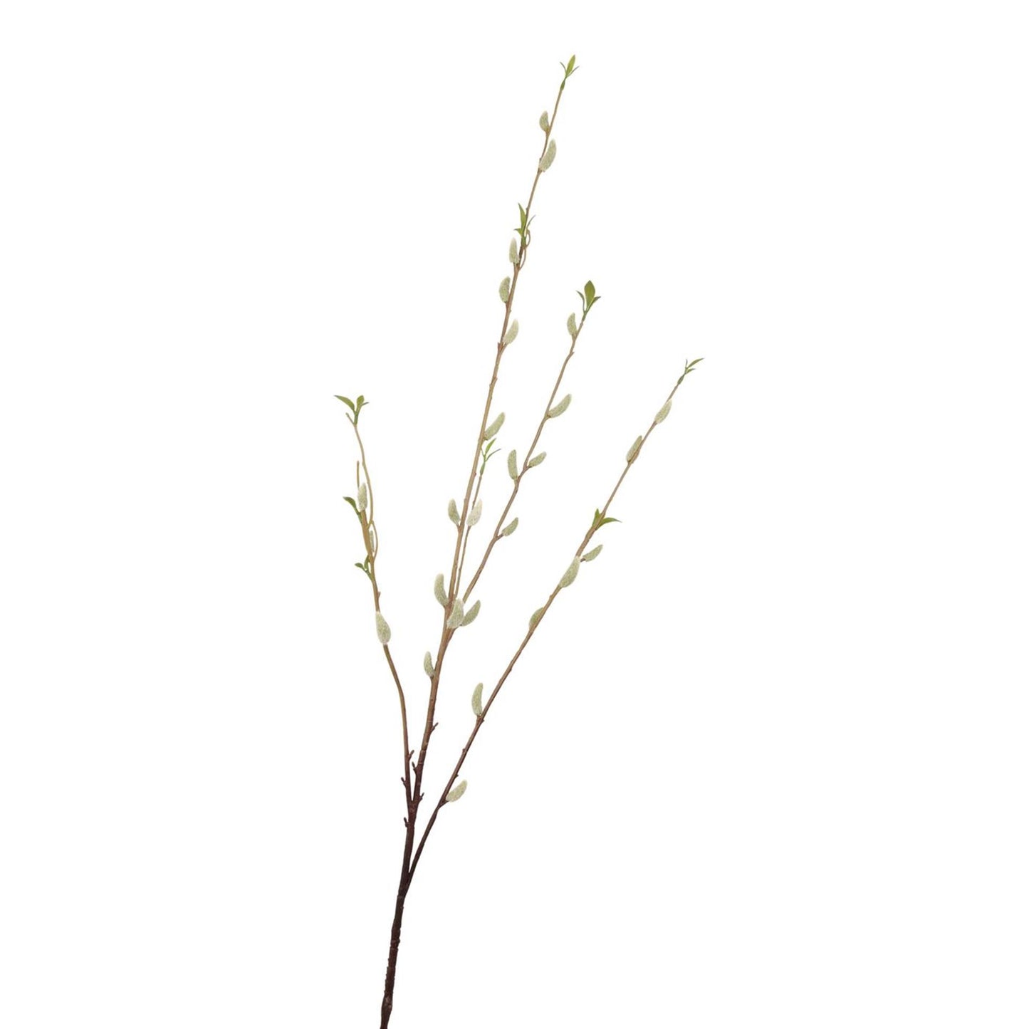 Roberts collection kunsttak katjes crã¨me 114cm