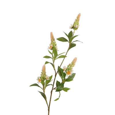 Roberts collection kunsttak pachystachys crã¨me roze 95cm