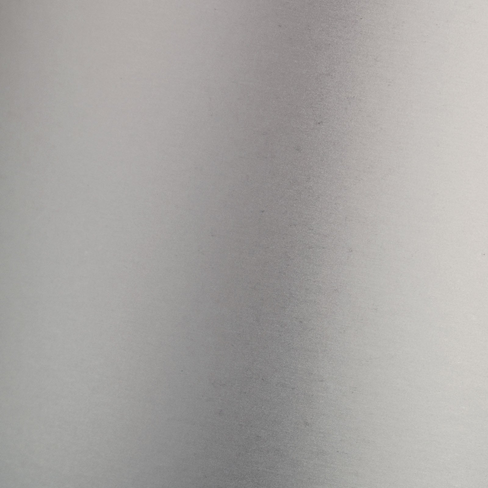 Tonic studios • mirror card satin a4 x5 frosted silver
