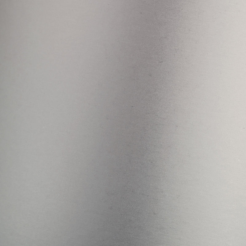 Tonic studios • mirror card satin a4 x5 frosted silver