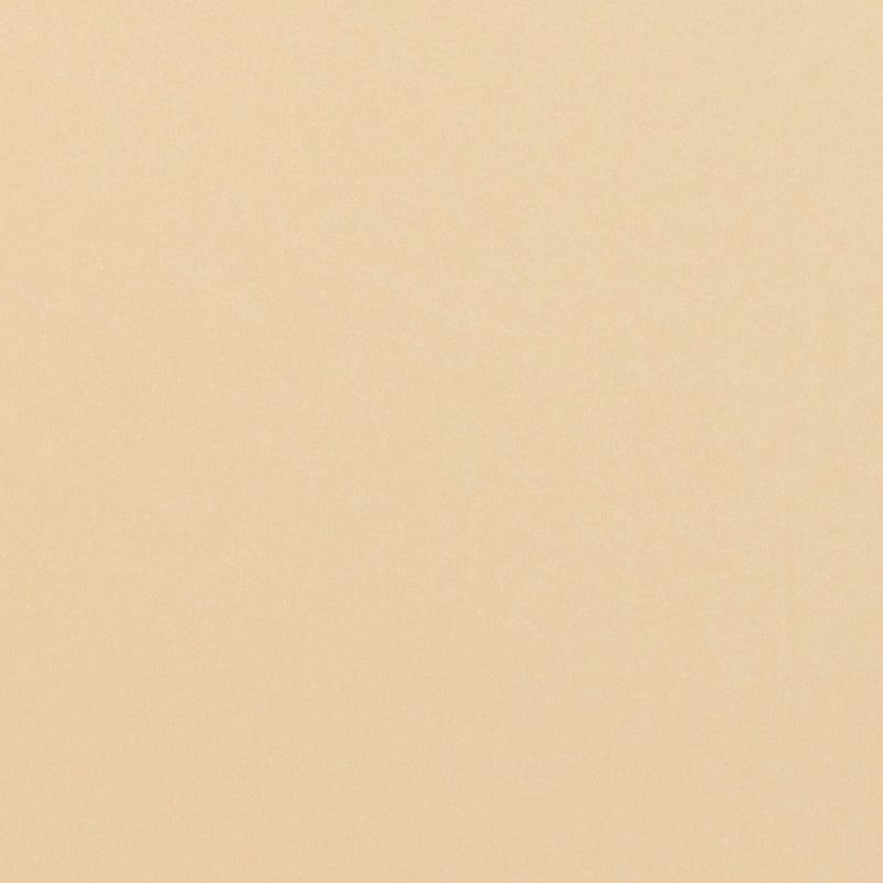 Tonic studios • pearlescent card a4 x5 ivory sheen