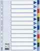 Esselte 10 x tabbladen 12 tabs (15262)