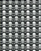 Peter pauper magnetic notitieboek - skull - crossbones - 16x21 cm