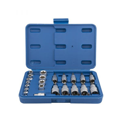 Torx dop en bitsset 1 4 +3 8 *