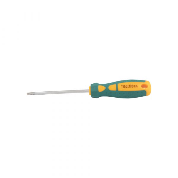 Schroevendraaier torx 25 x 100 mm.