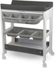 Bebeconfort dolphy, bad- en verschoningsunit, mobiele 2-in-1-unit, vanaf de geboorte tot 12 maanden, 0-11 kg, grey mist