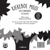 Flapjesboek: kiekeboe milo! 1+