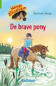 Kluitman manege de zonnehoeve. de brave pony