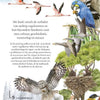 Een reis om de wereld in 80 vogels.