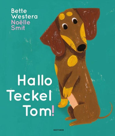 Imp hallo teckel tom. 3+ vlag en wels gri