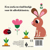 Gottmer uitgevers groep kuikentje, waar ben je?